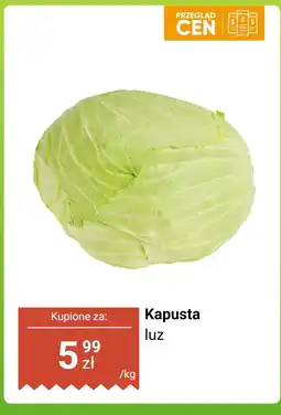 Dino Kapusta luz Dino oferta