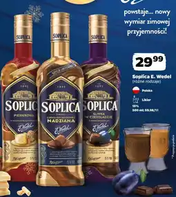 Netto Soplica E. Wedel (różne rodzaje) oferta