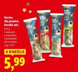 Lidl Karma dla ptaków knedle mix oferta