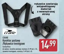 ALDI Korektor postawy Crane oferta