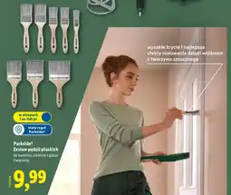 Lidl Zestaw pędzli do malowania Parkside oferta