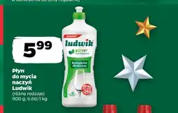 Netto Płyn do naczyń Ludwik oferta