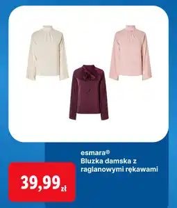 Lidl esmera Bluzka damska z raglanowymi rękawami oferta