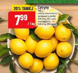 Polomarket Cytryny POLOmarket oferta