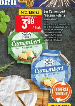 Polomarket Ser Camembert Mleczna Polana wybrane rodzaje oferta