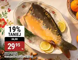 bi1 Karp tusza oferta