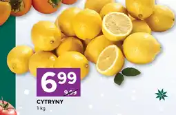 Stokrotka Express Cytryna oferta