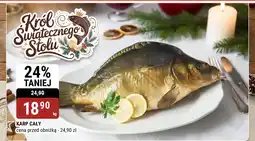 bi1 Karp cały oferta