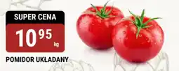 bi1 Pomidor układany oferta