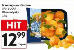 Intermarche Mandarynka z liściem SAN LUCAR Klementynka oferta