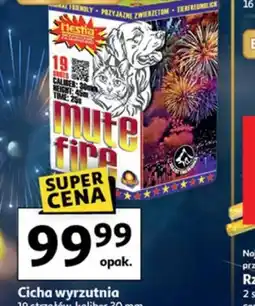 Auchan Cicha wyrzutnia Mute Fire oferta