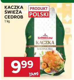 Stokrotka Market Kaczka Cedrob oferta