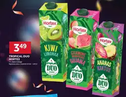 Stokrotka Market Kiwi Hortex oferta