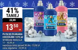bi1 Płyn do płukania coccolino oferta