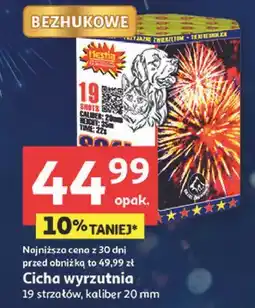 Auchan Cicha wyrzutnia 19 strzałów kaliber 20 mm oferta