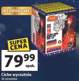 Auchan Cicha wyrzutnia 16 strzałów oferta