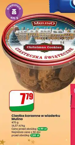 Dino Ciastka korzenne w wiaderku oferta