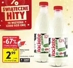 Intermarche Poinsettia doniczka 10,5 cm oferta