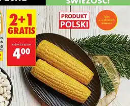 Biedronka Kukurydza polska gotowana oferta