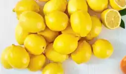 Stokrotka Cytryny oferta