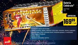 Polomarket Bateria Celebrate oferta