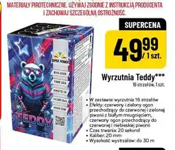 Polomarket Wyrzutnia Teddy oferta