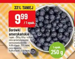 Polomarket Borówki amerykańskie oferta