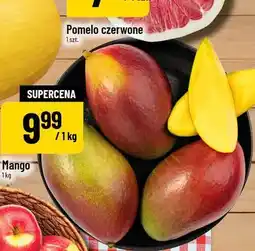 Polomarket Mango oferta