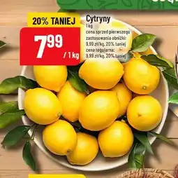 Polomarket Cytryny oferta