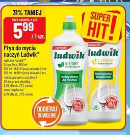 Polomarket Płyn do mycia naczyń Ludwik oferta