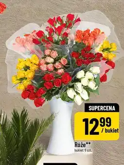 Polomarket Róże oferta