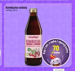 Polomarket Kombucha wiśnia oferta