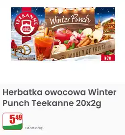 Dino Herbatka owocowa Winter Punch Teekanne 20x2g oferta