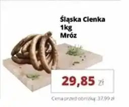 Torimpex Śląska Clenka Mróz oferta