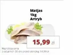 Torimpex Matjas Artryb oferta