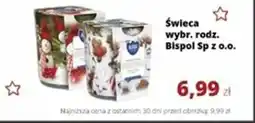 Torimpex Świeca bispol sp z o.o. oferta