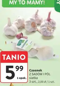 Intermarche Czosnek (Z Sadów i Pól, siatka, 3 szt.) oferta