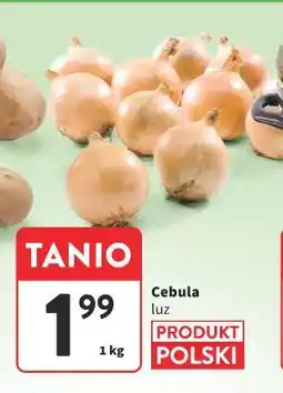 Intermarche Cebula luz oferta