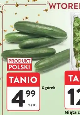 Intermarche Ogórek oferta