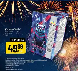 Polomarket Wyrzutnia Teddy oferta