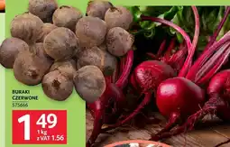 Selgros Buraki czerwone oferta