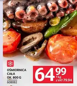Selgros Ośmiornica cała ok. 800g oferta