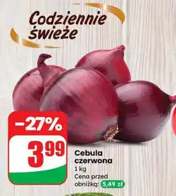 Dino Cebula czerwona oferta