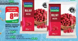 Dino Maliny mrożone Mrożny Ogród oferta
