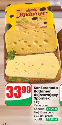 Dino Serek Danio różne rodzaje oferta