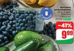 Dino Borówka amerykańska oferta