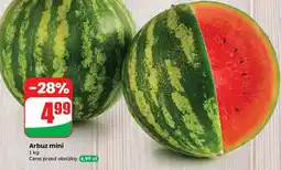Dino Arbuz mini oferta
