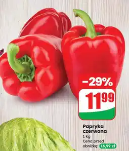 Dino Papryka czerwona oferta