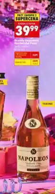 Biedronka Brandy Napoleon Rochechou Pons oferta