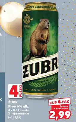 Kaufland Piwo Żubr oferta
